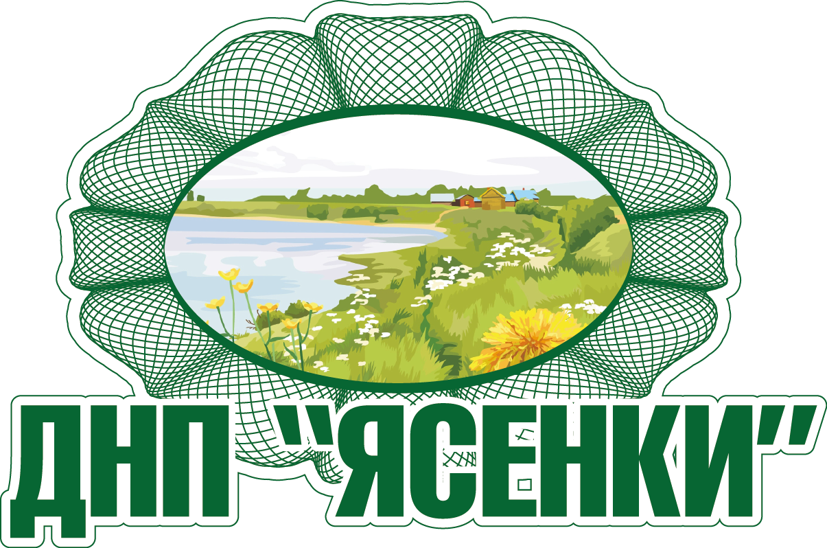 На главную